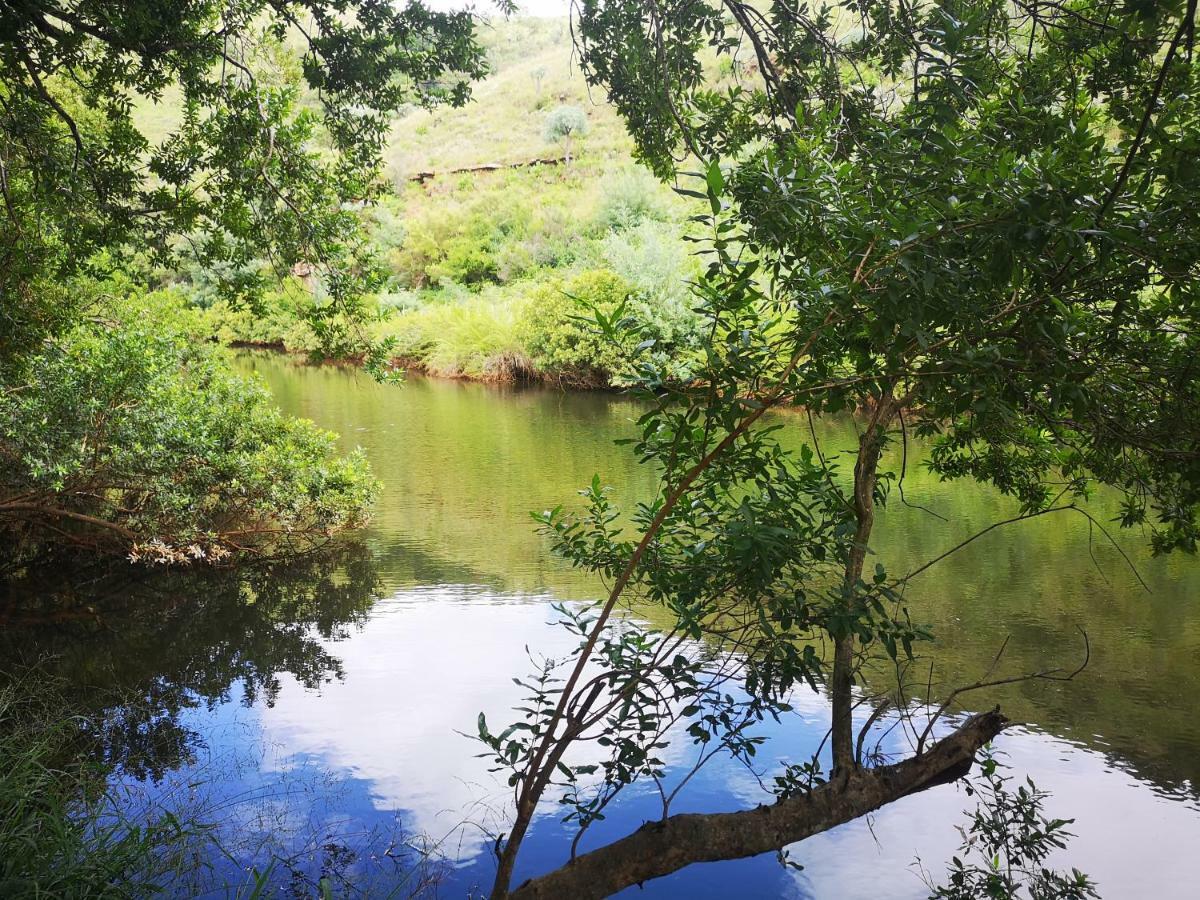 Treur River Lodge Moremela Zewnętrze zdjęcie