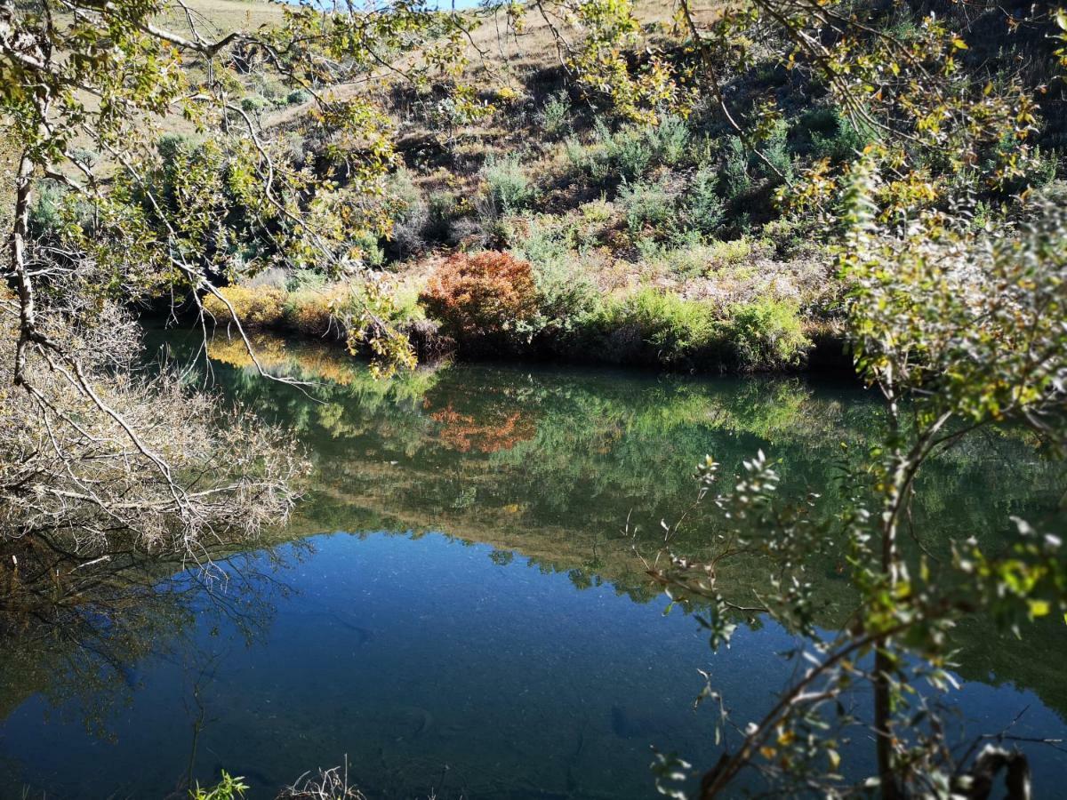 Treur River Lodge Moremela Zewnętrze zdjęcie